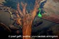 zrenjanin_december_2006_photos_by_josef_gaffl_austria_127