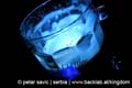 kingdom_of_illusions_2006_gusan_novi_sad_serbia_450_69