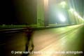kingdom_of_illusions_2006_gusan_novi_sad_serbia_450_70
