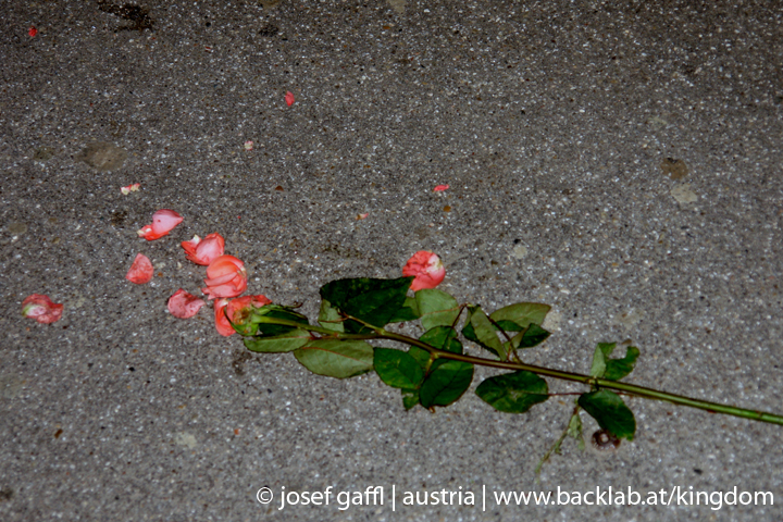 urfahraner_markt_night-70