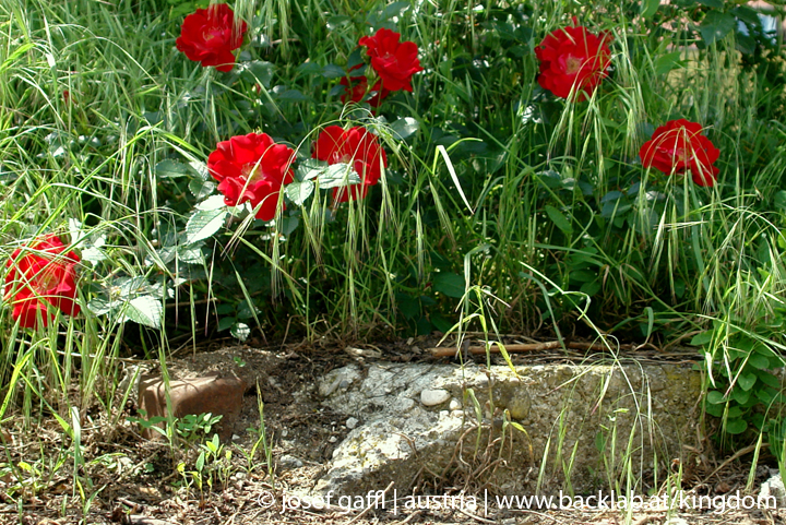 linz_austria_may_2009-086