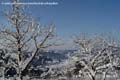 koenigswiesen_winter-11