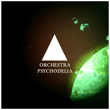 cover design by 'the royals'