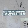 Tauwetter CD (Mieze Medusa & Tenderboy, !records/trost)